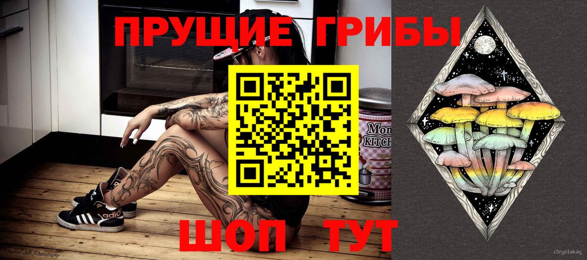 Галлюциногенные грибы Psilocybe  Псилоцибиновые грибы ЛСД  Родники  Вход с VPN 